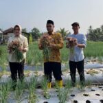 Airin Rachmi Diany Panen Bawang Merah Bersama Petani