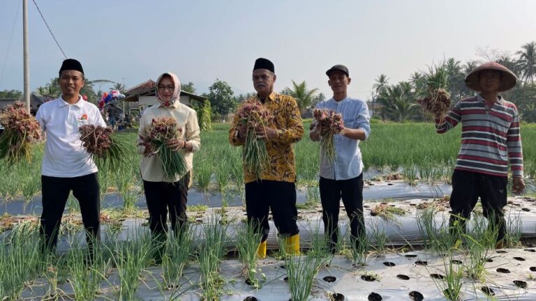 Airin Rachmi Diany Panen Bawang Merah Bersama Petani