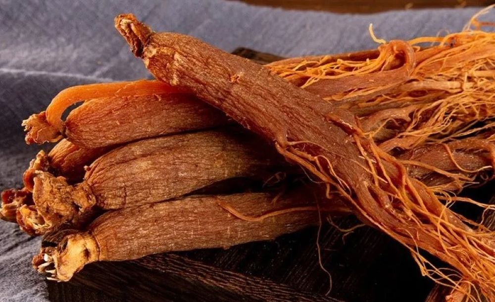 Ginseng Merah Korea Berpotensi Kurangi Efek Kecanduan Alkohol