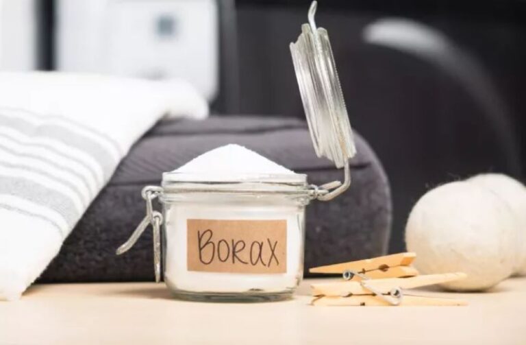 Minum Air dengan Boraks Ngetren di TikTok