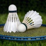 Medan Didapuk Jadi Tuan Rumah Dua Turnamen Internasional