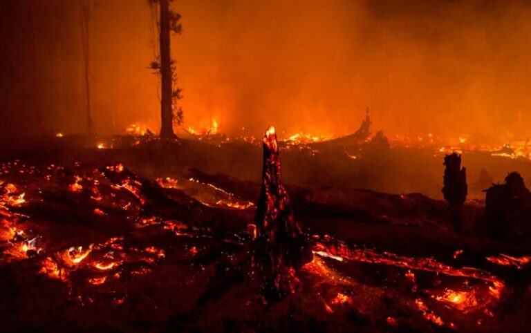 Legislator Dukung Hukuman Denda Tinggi Bagi Pelaku Karhutla