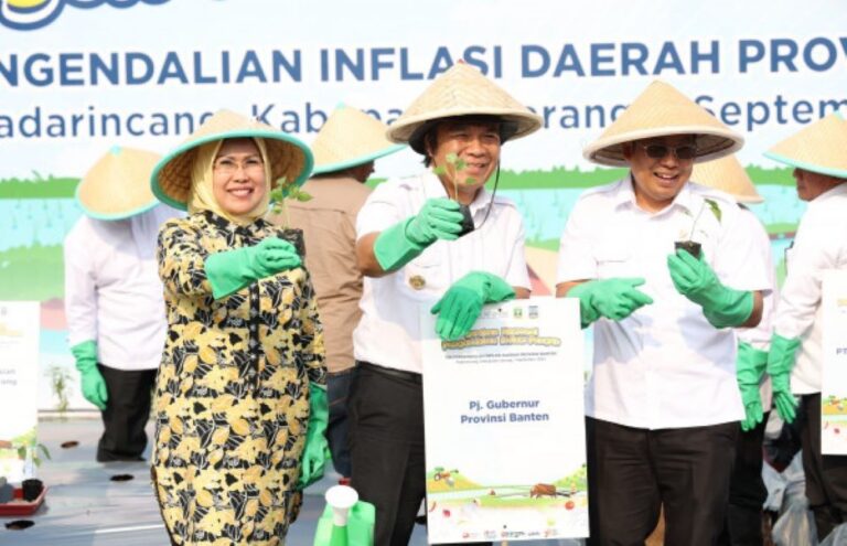 Pemprov Banten Gencarkan Penanaman Cabai Tekan Inflasi