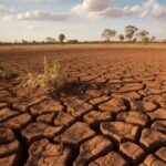 Kemenag Imbau Umat Islam Gelar Salat Istisqa'