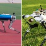 Robot Anjing Berkaki Empat Ini Tercepat di Dunia, Lari 100 Meter dengan Waktu 19 Detik