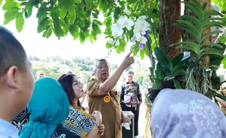 Jadi Ikon Tangerang Selatan, Wali Kota Benyamin Davnie Ajak Masyarakat Tanam Anggrek